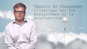6.3 Impacts du changement climatique sur les écosystèmes et la biodiversité