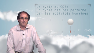 2.2 Le cycle du CO2 : un cycle naturel perturbé par les activités humaines