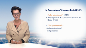 Harmonisation internationale des droits intellectuels