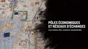 Pôles économiques et réseaux d'échange : routes des esclaves mamelouks
