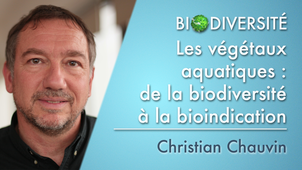 3.07 Les végétaux aquatiques: de la biodiversité à la bioindication
