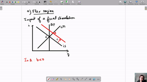 International monetary economics - Chapter 6 - Class 4 Dec. 2019