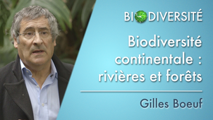 3.00 Biodiversité continentale : rivières et forêts