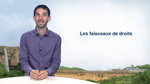 4.4 Les faisceaux de droits