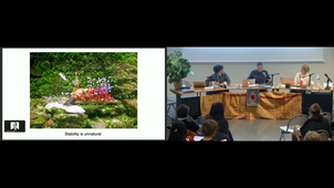 PETROLEUM Oil in (and out of) Visual Arts /Part 2. The green turn and a re-conceptualization of what preservation means