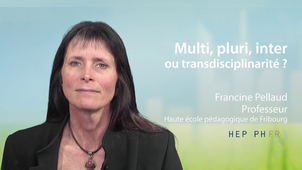 4.4 Multi, pluri, inter ou transdisciplinarité ?