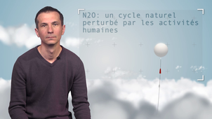 2.5 N2O : un cycle naturel perturbé par les activités humaines