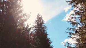 DUBOIS_ophelie.MOV