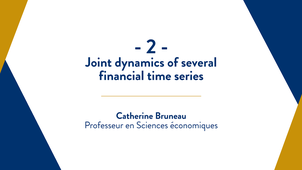 Capsule 2 : Joint dynamics of several financial time series