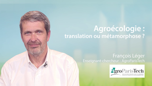 6.1 Agroécologie: translation ou métamorphose ?