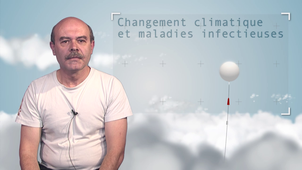 6.4 Changement climatique et maladies infectieuses