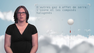 2.6 D'autres gaz à effet de serre: l'ozone et les composés halogénés