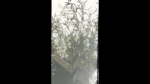 SWAT_sujet1.mov
