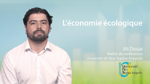 5.4 L'économie écologique