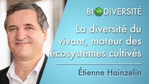 4.02 La diversité du vivant, moteur des écosystèmes cultivés