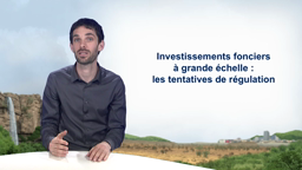 6.3 Investissements fonciers à grande échelle : les tentatives de régulation