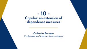 Capsule 10: Copulas: an extension of dependence measures