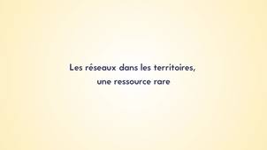 3.2. Les réseaux dans les territoires, une ressource rare