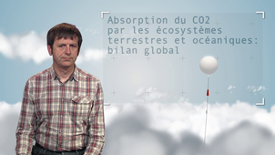 2.3 Absorption du CO2 par les écosystèmes terrestres et océaniques: bilan global