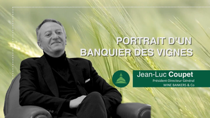 Portrait d'un banquier des vignes