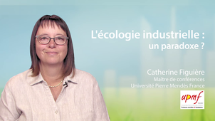 6.6 L'écologie industrielle: un paradoxe ?