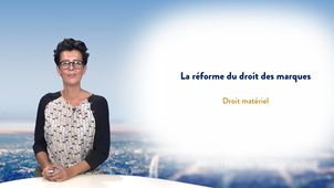 La réforme du droit des marques - Droit matériel