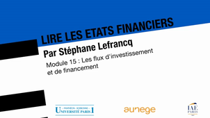 Lire les états financiers - Les flux d'investissement et de financement