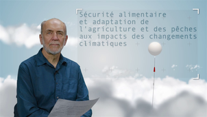 6.6 Sécurité alimentaire et adaptation de l'agriculture et des pêches aux impacts des changements climatiques