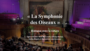 Concert 