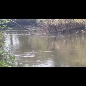 Bonnaire gwenaelle-sujet1-5X5- Transhumance sensorielle.mp4