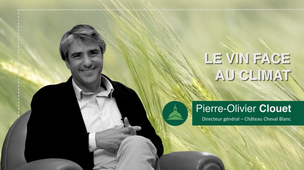 Le vin face au climat